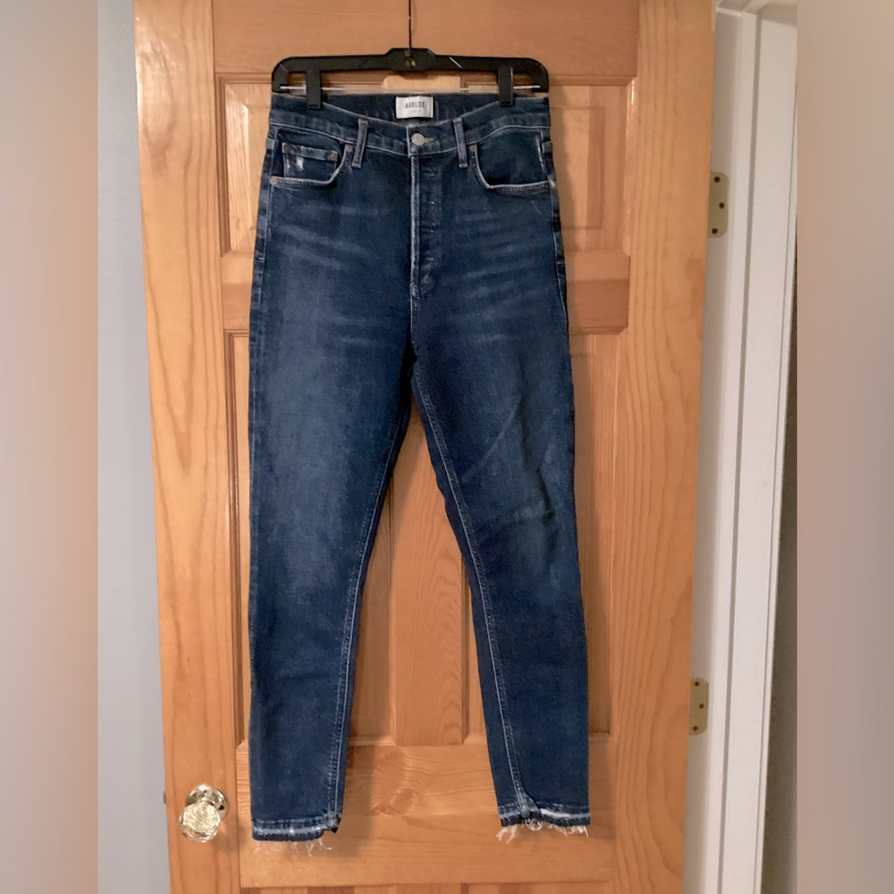 Agolde Denim Nico